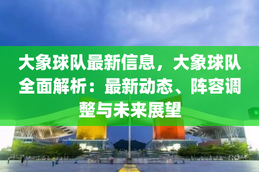 大象球隊最新信息，大象球隊全面解析：最新動態(tài)、陣容調(diào)整與未來展望