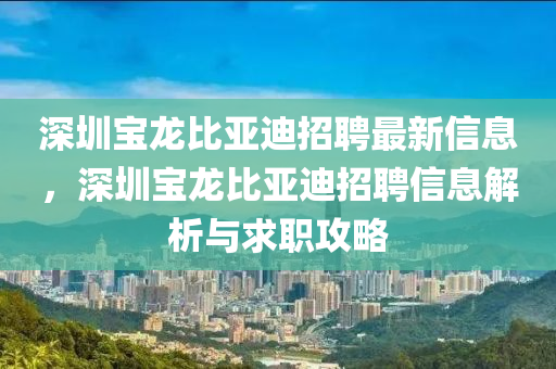 深圳寶龍比亞迪招聘最新信息，深圳寶龍比亞迪招聘信息解析與求職攻略