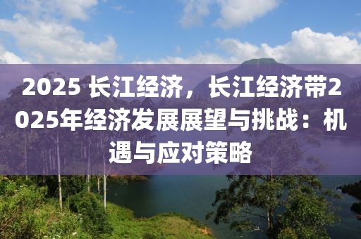 2025 長(zhǎng)江經(jīng)濟(jì)，長(zhǎng)江經(jīng)濟(jì)帶2025年經(jīng)濟(jì)發(fā)展展望與挑戰(zhàn)：機(jī)遇與應(yīng)對(duì)策略