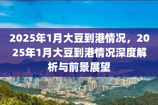 2025年1月大豆到港情況，2025年1月大豆到港情況深度解析與前景展望