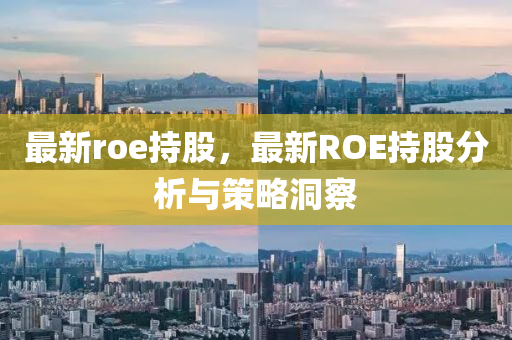 最新roe持股，最新ROE持股分析與策略洞察