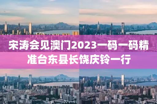 宋濤會見澳門2023一碼一碼精準臺東縣長饒慶鈴一行