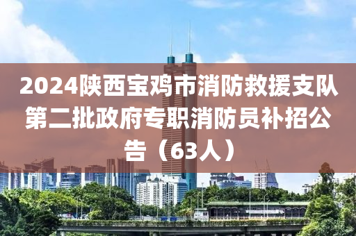 2024陜西寶雞市消防救援支隊第二批政府專職消防員補招公告（63人）