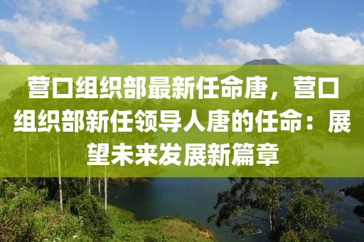 營口組織部最新任命唐，營口組織部新任領(lǐng)導(dǎo)人唐的任命：展望未來發(fā)展新篇章