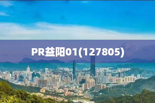 PR益陽01(127805)