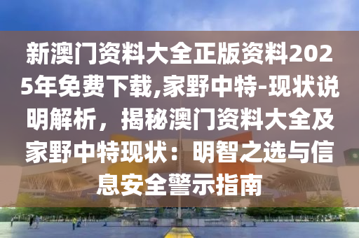 新澳門資料大全正版資料2025年免費下載,家野中特-現(xiàn)狀說明解析，揭秘澳門資料大全及家野中特現(xiàn)狀：明智之選與信息安全警示指南