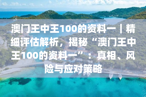 澳門王中王100的資料一｜精細評估解析，揭秘“澳門王中王100的資料一”：真相、風險與應對策略