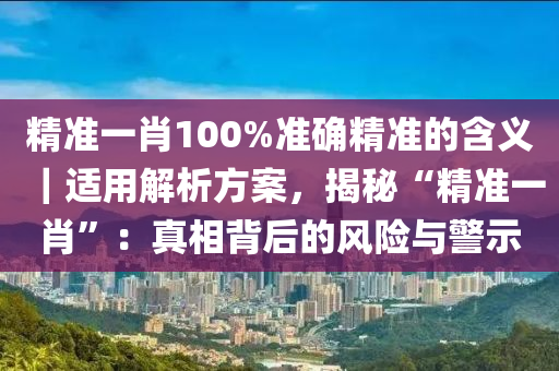 精準(zhǔn)一肖100%準(zhǔn)確精準(zhǔn)的含義｜適用解析方案，揭秘“精準(zhǔn)一肖”：真相背后的風(fēng)險與警示