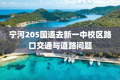 寧河205國道去新一中校區(qū)路口交通與道路問題