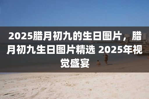 2025臘月初九的生日?qǐng)D片，臘月初九生日?qǐng)D片精選 2025年視覺(jué)盛宴