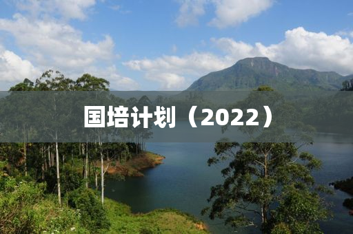 國(guó)培計(jì)劃（2022）