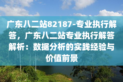 廣東八二站82187-專業(yè)執(zhí)行解答，廣東八二站專業(yè)執(zhí)行解答解析：數(shù)據(jù)分析的實(shí)踐經(jīng)驗(yàn)與價(jià)值前景