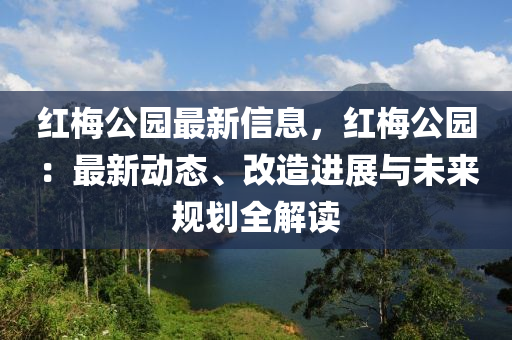 紅梅公園最新信息，紅梅公園：最新動態(tài)、改造進展與未來規(guī)劃全解讀