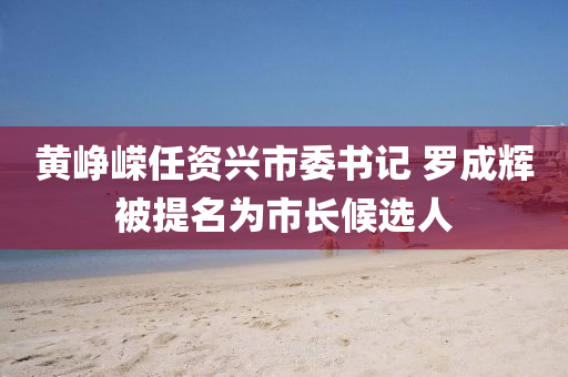 黃崢嶸任資興市委書記 羅成輝被提名為市長候選人