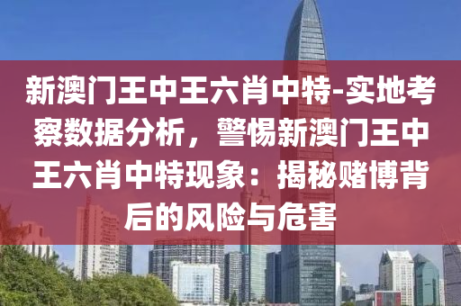 新澳門王中王六肖中特-實地考察數(shù)據(jù)分析，警惕新澳門王中王六肖中特現(xiàn)象：揭秘賭博背后的風(fēng)險與危害