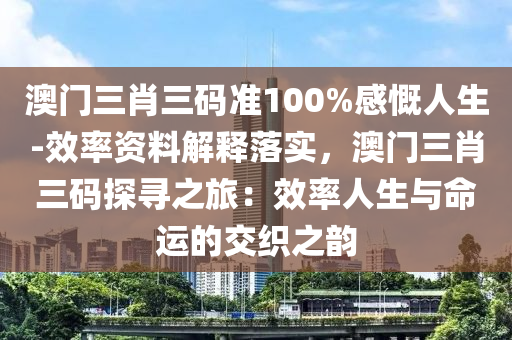 澳門(mén)三肖三碼準(zhǔn)100%感慨人生-效率資料解釋落實(shí)，澳門(mén)三肖三碼探尋之旅：效率人生與命運(yùn)的交織之韻