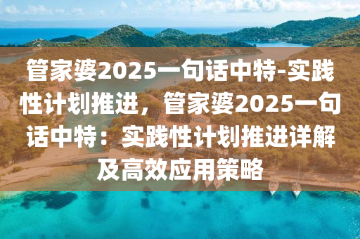 管家婆2025一句話中特-實(shí)踐性計(jì)劃推進(jìn)，管家婆2025一句話中特：實(shí)踐性計(jì)劃推進(jìn)詳解及高效應(yīng)用策略