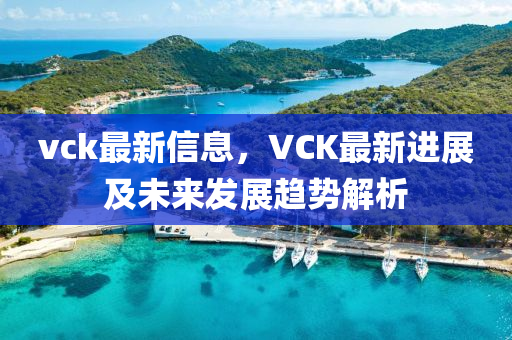 vck最新信息，VCK最新進(jìn)展及未來發(fā)展趨勢解析