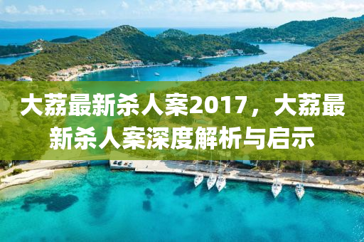 大荔最新殺人案2017，大荔最新殺人案深度解析與啟示