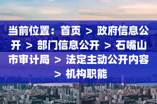 當(dāng)前位置：首頁 ＞ 政府信息公開 ＞ 部門信息公開 ＞ 石嘴山市審計(jì)局 ＞ 法定主動公開內(nèi)容 ＞ 機(jī)構(gòu)職能