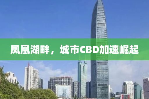 鳳凰湖畔，城市CBD加速崛起