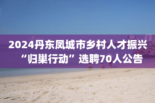 2024丹東鳳城市鄉(xiāng)村人才振興“歸巢行動”選聘70人公告