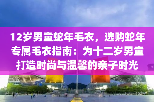 12歲男童蛇年毛衣，選購蛇年專屬毛衣指南：為十二歲男童打造時尚與溫馨的親子時光