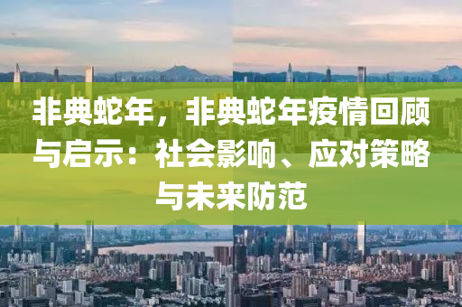 非典蛇年，非典蛇年疫情回顧與啟示：社會(huì)影響、應(yīng)對(duì)策略與未來(lái)防范