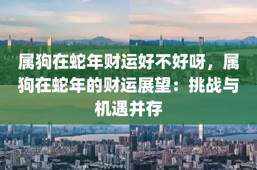 屬狗在蛇年財運好不好呀，屬狗在蛇年的財運展望：挑戰(zhàn)與機遇并存