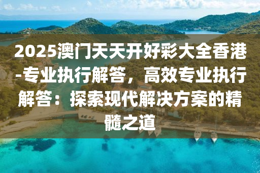 2025澳門天天開好彩大全香港-專業(yè)執(zhí)行解答，高效專業(yè)執(zhí)行解答：探索現(xiàn)代解決方案的精髓之道