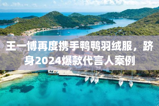 王一博再度攜手鴨鴨羽絨服，躋身2024爆款代言人案例