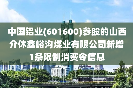 中國(guó)鋁業(yè)(601600)參股的山西介休鑫峪溝煤業(yè)有限公司新增1條限制消費(fèi)令信息