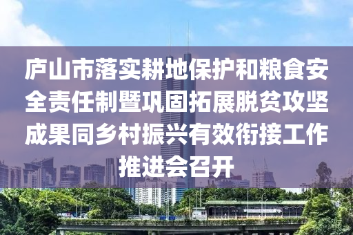 廬山市落實耕地保護和糧食安全責(zé)任制暨鞏固拓展脫貧攻堅成果同鄉(xiāng)村振興有效銜接工作推進會召開