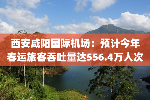 西安咸陽國際機(jī)場：預(yù)計(jì)今年春運(yùn)旅客吞吐量達(dá)556.4萬人次