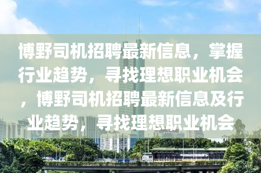 博野司機(jī)招聘最新信息，掌握行業(yè)趨勢(shì)，尋找理想職業(yè)機(jī)會(huì)，博野司機(jī)招聘最新信息及行業(yè)趨勢(shì)，尋找理想職業(yè)機(jī)會(huì)