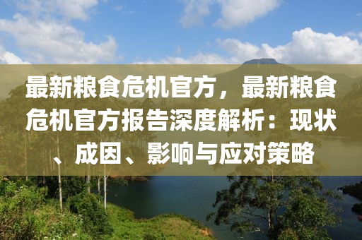 最新糧食危機(jī)官方，最新糧食危機(jī)官方報(bào)告深度解析：現(xiàn)狀、成因、影響與應(yīng)對策略