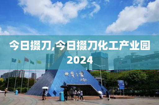 今日掇刀,今日掇刀化工產業(yè)園2024