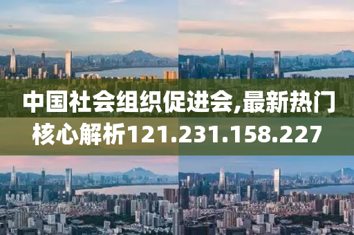 中國社會組織促進會,最新熱門核心解析121.231.158.227