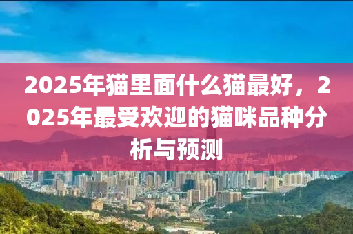 2025年貓里面什么貓最好，2025年最受歡迎的貓咪品種分析與預(yù)測(cè)