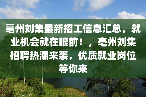 亳州劉集最新招工信息匯總，就業(yè)機會就在眼前！，亳州劉集招聘熱潮來襲，優(yōu)質(zhì)就業(yè)崗位等你來