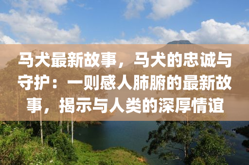 馬犬最新故事，馬犬的忠誠(chéng)與守護(hù)：一則感人肺腑的最新故事，揭示與人類(lèi)的深厚情誼