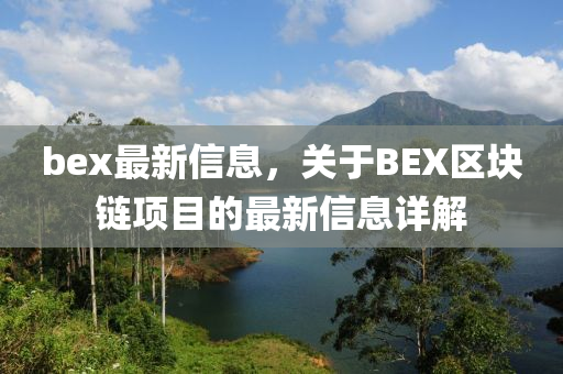 bex最新信息，關(guān)于BEX區(qū)塊鏈項目的最新信息詳解