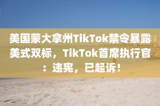 美國(guó)蒙大拿州TikTok禁令暴露美式雙標(biāo)，TikTok首席執(zhí)行官：違憲，已起訴！