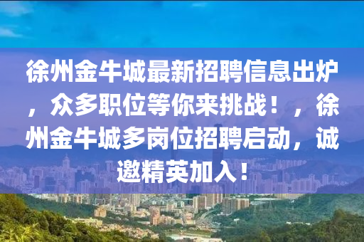 徐州金牛城最新招聘信息出爐，眾多職位等你來(lái)挑戰(zhàn)！，徐州金牛城多崗位招聘啟動(dòng)，誠(chéng)邀精英加入！