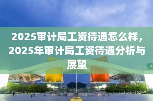 2025審計局工資待遇怎么樣，2025年審計局工資待遇分析與展望