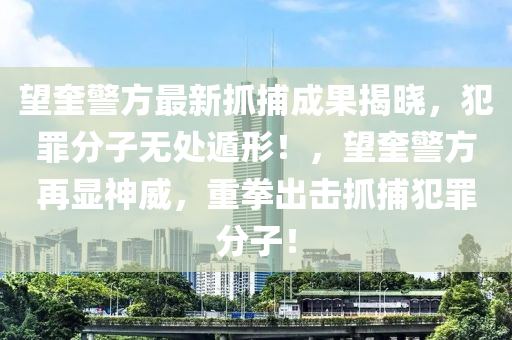 望奎警方最新抓捕成果揭曉，犯罪分子無處遁形！，望奎警方再顯神威，重拳出擊抓捕犯罪分子！