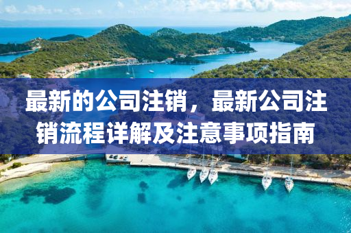 最新的公司注銷，最新公司注銷流程詳解及注意事項指南