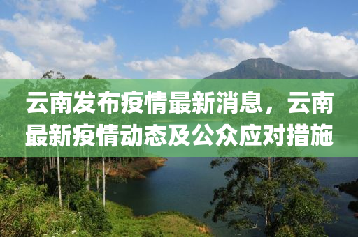 云南發(fā)布疫情最新消息，云南最新疫情動態(tài)及公眾應對措施