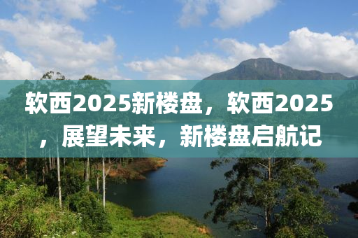 軟西2025新樓盤，軟西2025，展望未來，新樓盤啟航記