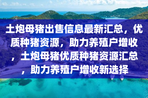 土炮母豬出售信息最新匯總，優(yōu)質(zhì)種豬資源，助力養(yǎng)殖戶增收，土炮母豬優(yōu)質(zhì)種豬資源匯總，助力養(yǎng)殖戶增收新選擇